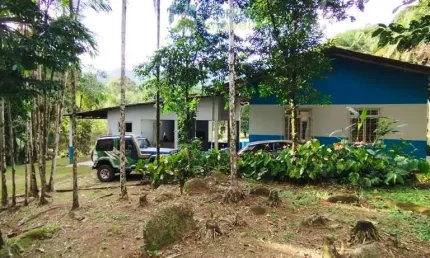 Chácara / sítio com 3 quartos à venda na Estrada Do Candonga, 544, Rio Sagrado, Morretes