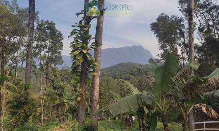 Terreno à venda na Estrada Da Sapitanduva, 583, Vila dos Ferroviarios, Morretes