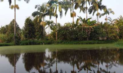 Chácara em Morretes no Sarapia com 23.000m² apenas  400 metros da rodovia 2 tanques de peixes