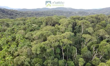 Terreno lote para construir com 10.000 metros dentro da mata atlântica local alto