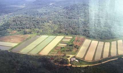 Sítio 14 Alqueires em Itaqui  Atividade Piscicultura mais de 28 Tanques no Município de Guaraqueçaba PR