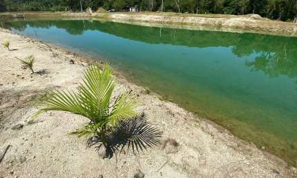 Chácara em Antonina 3 tanques de peixes 8.000 metros fácil acesso apenas 4km da cidade