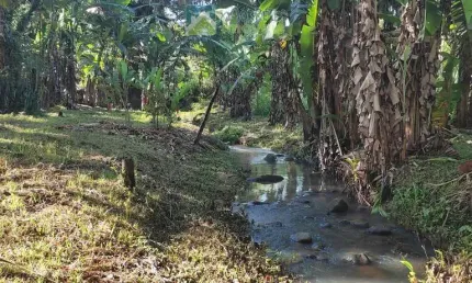 Terreno multifuncional: seu lar e seu negócio em um só lugar!