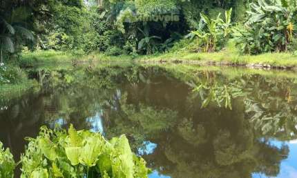 Área à venda no bairro Marumbi - Morretes/PR, Rural