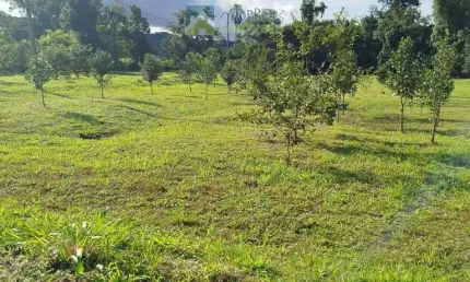 Terreno em Loteamento em Vila das Palmeiras, Morretes/PR
