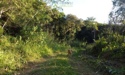 Área Rural Documentada com 150.480 m²  (15hec) em Meio à Natureza! Estrada de fácil acesso em  Morretes/Pr.