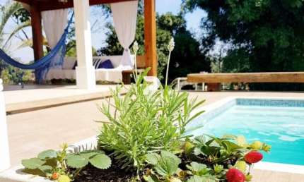 CASA A VENDA NO CHÁCARAS CATAGUÁ DE 210 M2, TERRENO DE 2116M2 COM 3 DORMITÓRIOS UMA SUÍTE MASTER, SALA PARA 3 AMBIENTES, PISCINA, POMAR