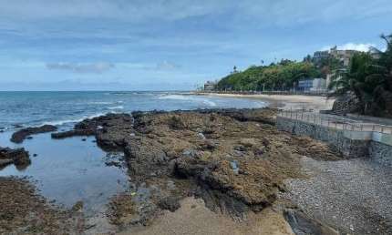 Apartamento com 1 quarto à venda na Avenida Oceânica, 3419, Rio Vermelho, Salvador