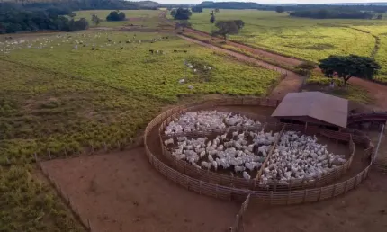 Fazenda dupla aptidão á venda de porteira fechada em Barra do Ouro-To!