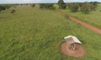 Chácara / sítio à venda na Faz Rural, Zona Rural, Paracatu