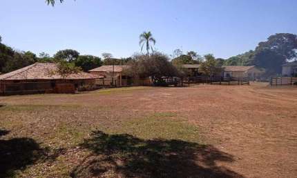 Excelente fazenda de dupla aptidão na divisa de Minas com Goiás!