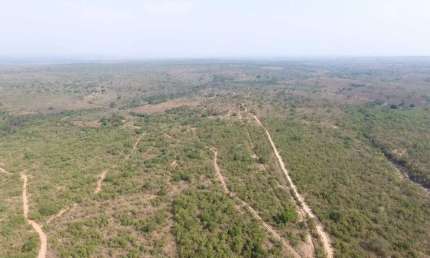 Fazenda de dupla aptidão á venda na região de Damianópolis-GO