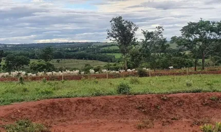 Propriedade Rural Espetacular de dupla aptidão em Monte Alegre-MG
