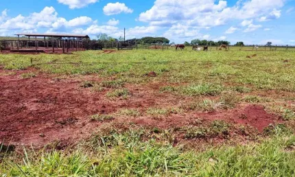 Fazenda de Dupla Aptidão em Campo Grande, MS - 2000 Hectares de Oportunidade!