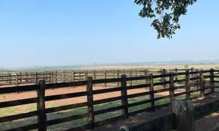 Fazenda á venda na região de Presidente Kennedy a 12 km da cidade e 25 de Guaraí