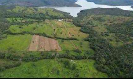 Oportunidade Única! Fazenda com Gado Pronto para Produção em Corumbaíba