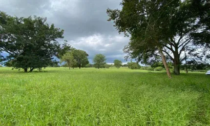 Paraíso Rural de 17 Alqueires em Uberlândia: Sua Oportunidade