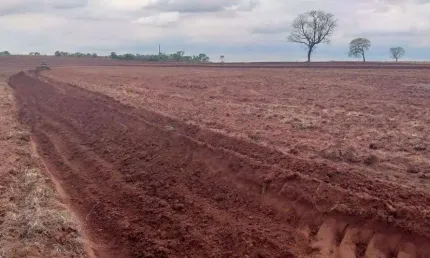 Fazenda de Dupla Aptidão em Campina Verde, MG - 156 Alqueires de Puro Potencial!