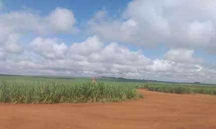 Fazenda Cana de açúcar em Mineiros- Go: Oportunidade Única!