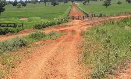 Fazenda de dupla aptidão com 1.563,32 hectares em Santa Vitória - MG