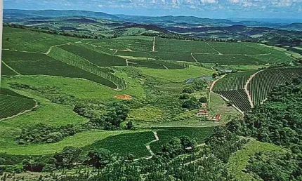 Viva o sonho do café: Torne-se dono de uma fazenda de sucesso em Santo Antônio do Amparo-MG
