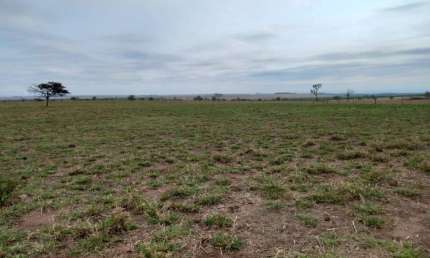 Explore Novos Horizontes: Fazenda Excepcional à Venda em Cocalinho-MT