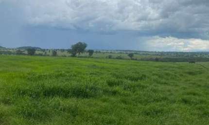 Chácara / sítio à venda na ÁRea Rural De Itarumã, Zona Rural, Itarumã