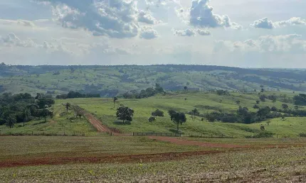 Chácara / sítio à venda na ÁRea Rural De Monte Carmelo, Zona Rural, Monte Carmelo