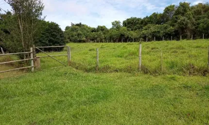 Chácara / sítio à venda na Área Rural, Área Rural de Ponte Nova, Ponte Nova