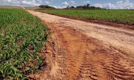 Chácara / sítio à venda na ÁRea Rural De Niquelândia, Zona Rural, Niquelândia