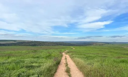 Chácara / sítio à venda na ÁRea Rural De Campo Alegre, Zona Rural, Campo Alegre de Goiás