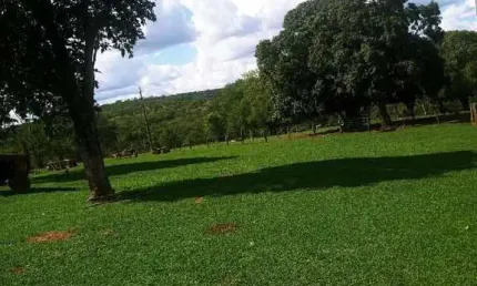 Chácara / sítio à venda na ÁRea Rural De Campina Verde, Zona Rural, Campina Verde