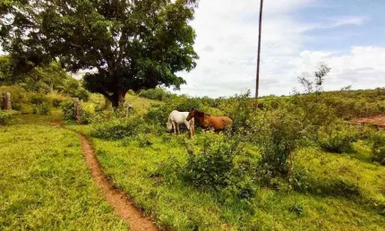 Chácara / sítio à venda na Área Rural, Área Rural de Uberlândia, Uberlândia