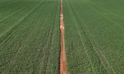 Chácara / sítio à venda na Área Rural, Zona Rural, Sinop