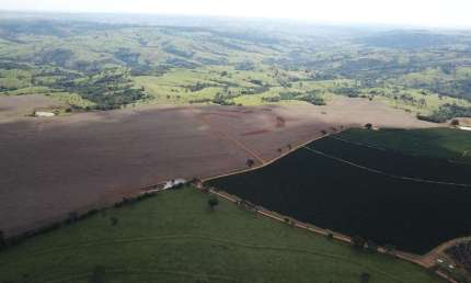 Chácara / sítio à venda na ÁRea Rural De Estrela Do Sul, Zona Rural, Estrela do Sul