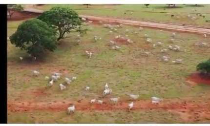 Chácara / sítio à venda na ÁRea Rural, Zona Rural, Unaí