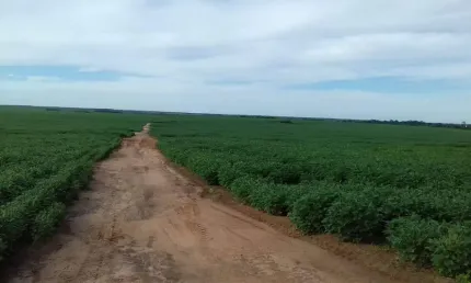 Chácara / sítio à venda na ÁRea Rural Entre Canarana E Querência, Zona Rural, Canarana