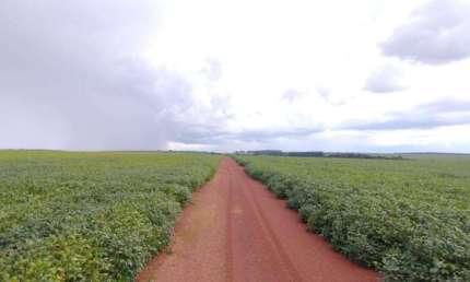 Chácara / sítio à venda na ÁRea Rural De Campo De  Verde, Zona Rural, Campo Verde