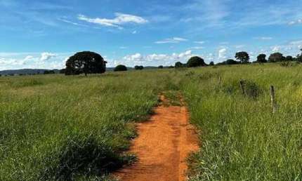 Chácara / sítio à venda na ÁRea Rural De João Pinheiro, Zona Rural, João Pinheiro