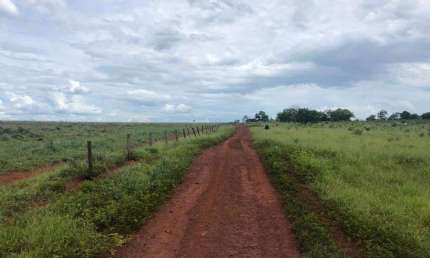 Chácara / sítio à venda na Entre Quirinópolis E Paranaiguara, Zona Rural, Paranaiguara