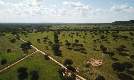 Chácara / sítio à venda na ÁRea Rural De João Pinheiro, Zona Rural, João Pinheiro