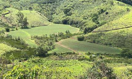 Chácara / sítio à venda na ÁRea Rural De Cidade De Pedralva, Zona Rural, Pedralva