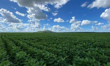 Chácara / sítio à venda na Área Rural, Área Rural de Boa Vista, Boa Vista