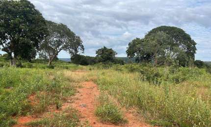 Chácara / sítio à venda na ÁRea Rural De João Pinheiro, Zona Rural, João Pinheiro