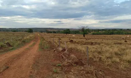 Chácara / sítio à venda na 8 Km De Flor De Minas, Zona Rural, Santa Vitória
