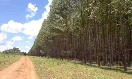 Chácara / sítio com 1 quarto à venda na ÁRea Rural, Zona Rural, Unaí