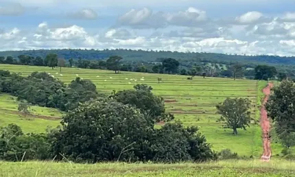 Chácara / sítio à venda na ÁRea Rural De Iturama, Zona Rural, Iturama