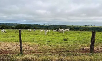 Chácara / sítio à venda na Área Rural, Área Rural de Uberlândia, Uberlândia