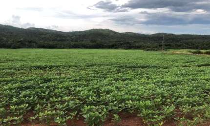 Chácara / sítio à venda na ÁRea Rural De Paranatinga, Zona Rural, Paranatinga