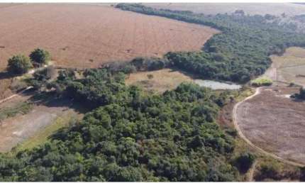 Fazenda à venda, Área Rural de Cristianopolis - Cristianópolis/GO